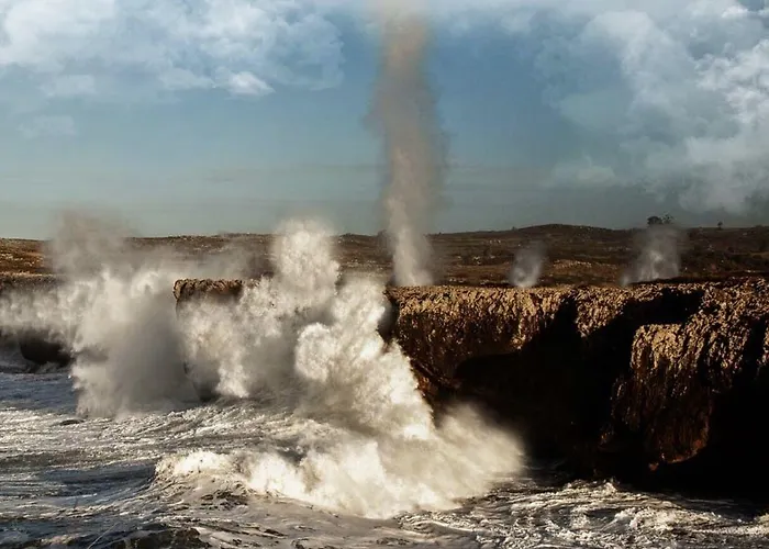 Gavitu 3* Селорио